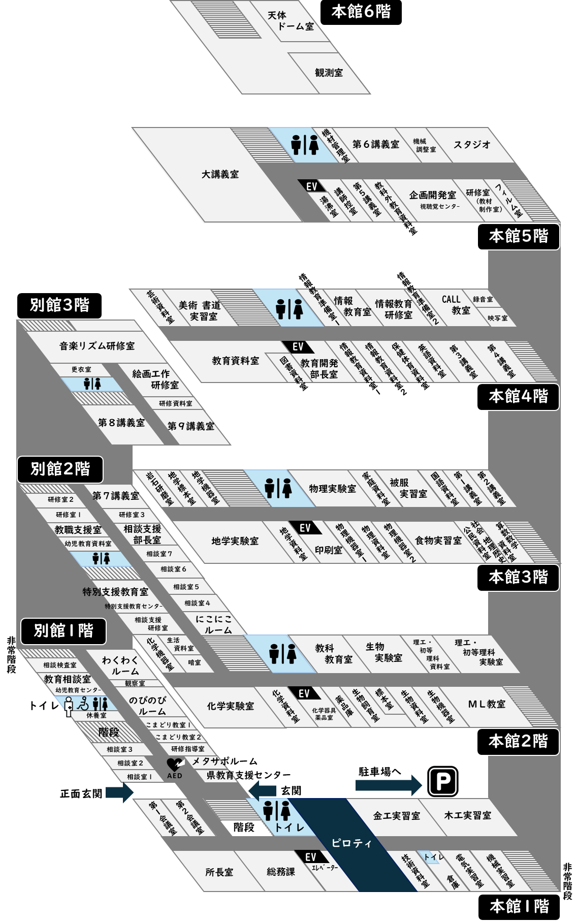 センター立体図