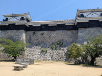 PXL_20250514_025930869
