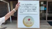 猫の手